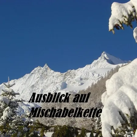 Appartamento Acimo Appartement-fewo 2-bettwohnung Muschi By Interhome Saas-Fee